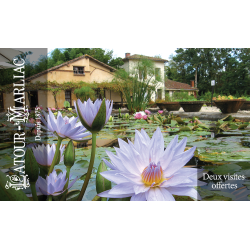 Carte cadeau 2 visites offertes