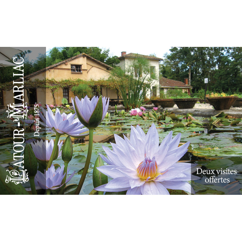 Carte cadeau 2 visites offertes Carte cadeau 2 visites offertes