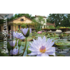 Carte cadeau 2 visites offertes