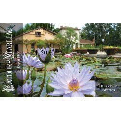 Carte cadeau 3 visites offertes