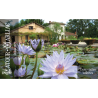 Carte cadeau 3 visites offertes
