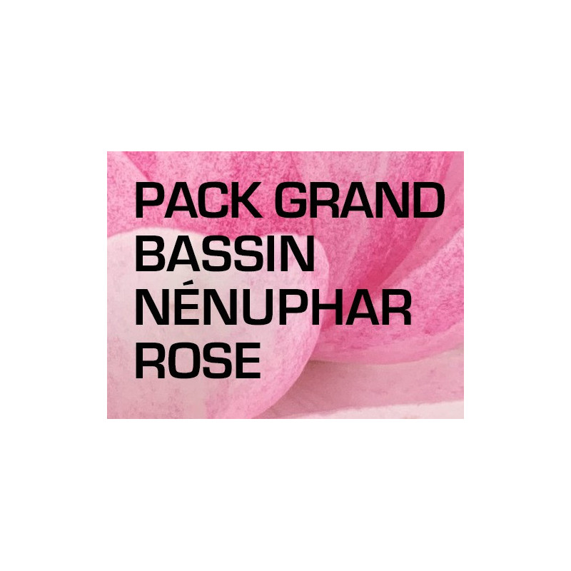 Pack Grand Bassin - Nénuphar rose