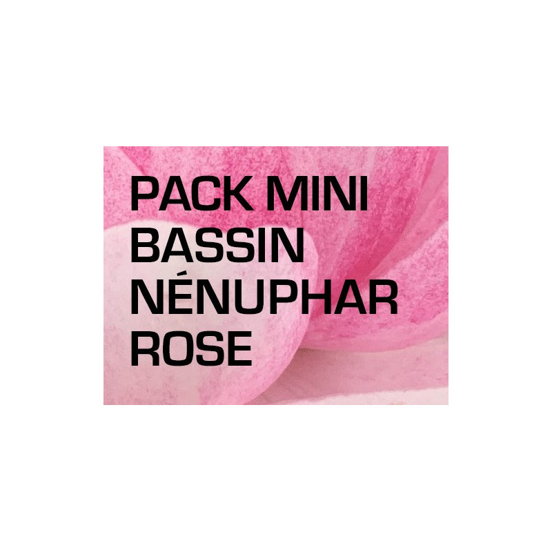 Pack Mini Bassin - Nénuphar rose