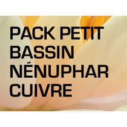 Pack Petit Bassin - Nénuphar cuivre