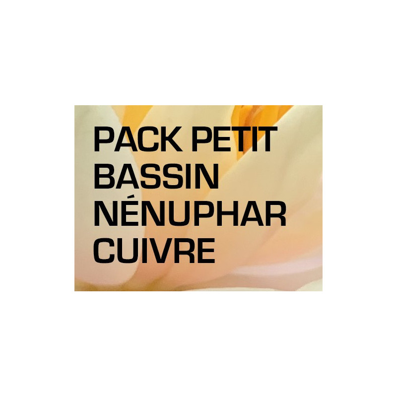 Pack Petit Bassin - Nénuphar cuivre