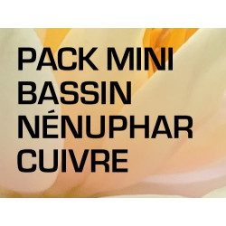 Pack Mini Bassin - Nénuphar cuivre