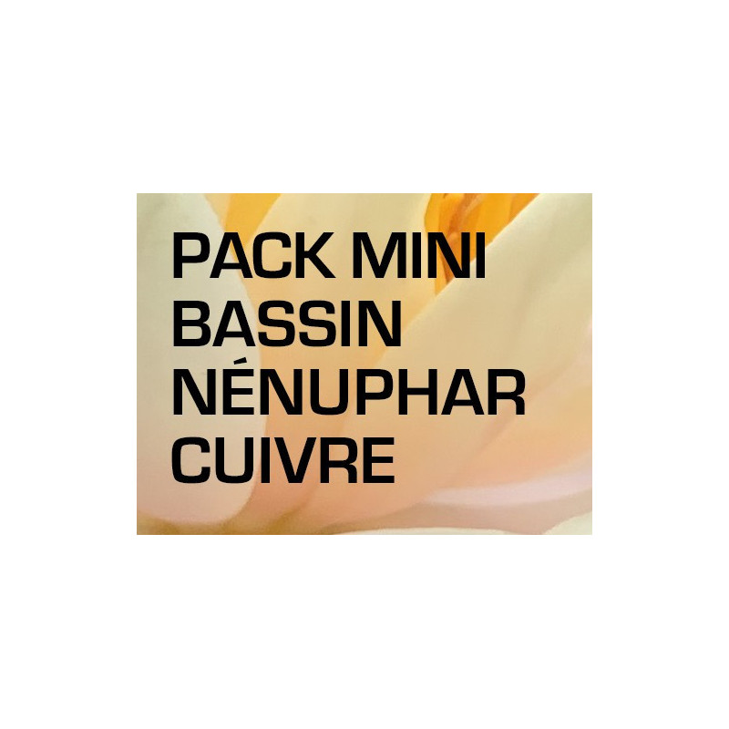 Pack Mini Bassin - Nénuphar cuivre