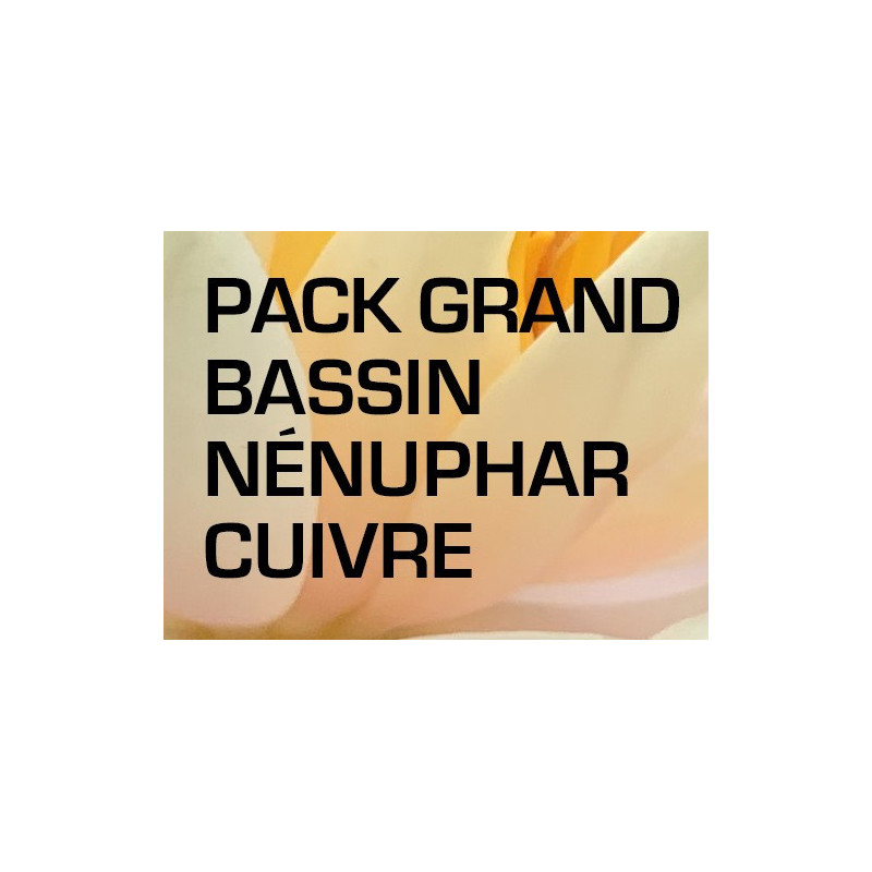 Pack Grand Bassin - Nénuphar cuivre