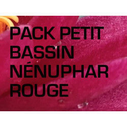 Pack Petit Bassin - Nénuphar rouge