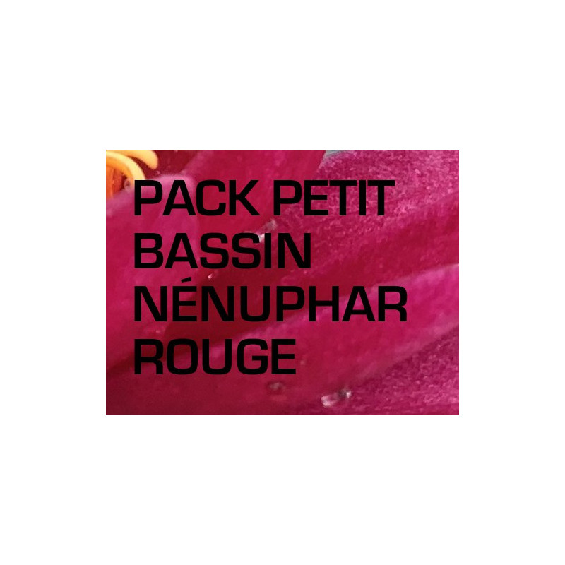 Pack Petit Bassin - Nénuphar rouge