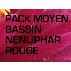 Pack Moyen Bassin - Nénuphar rouge