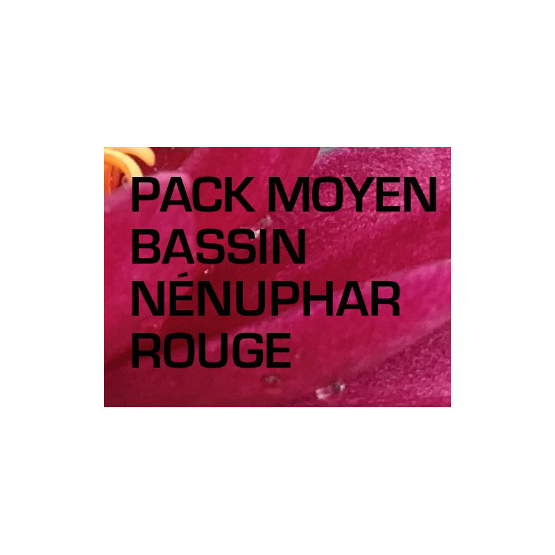 Pack Moyen Bassin - Nénuphar rouge