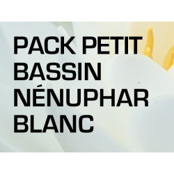 Pack Petit Bassin - Nénuphar blanc