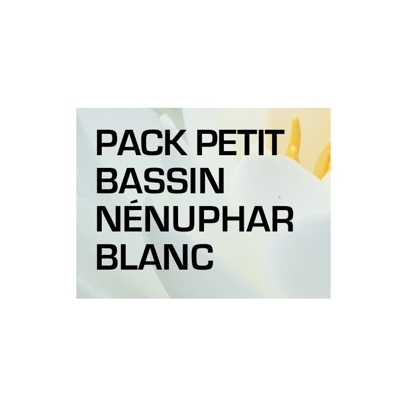 Pack Petit Bassin - Nénuphar blanc