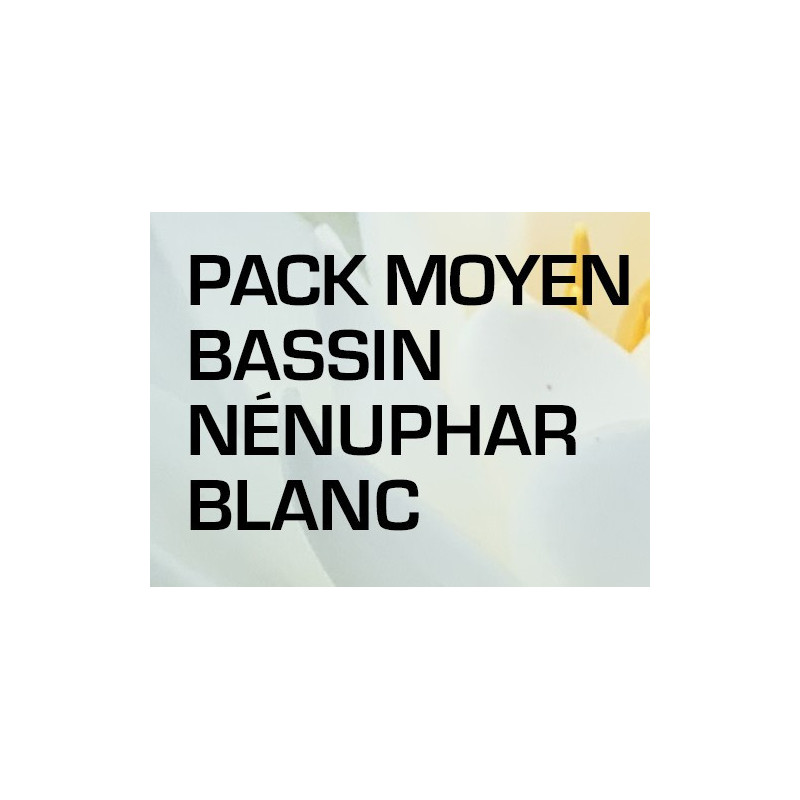 Pack Moyen Bassin - Nénuphar blanc