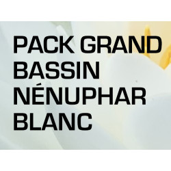 Pack Grand Bassin - Nénuphar blanc