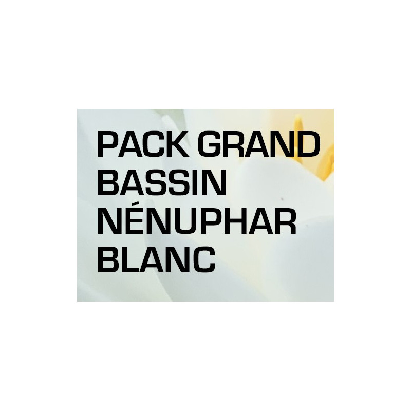 Pack Grand Bassin - Nénuphar blanc