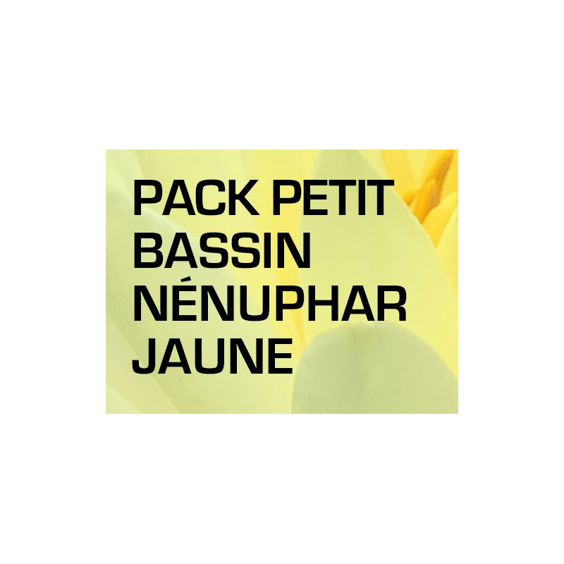 Pack Petit Bassin - Nénuphar jaune