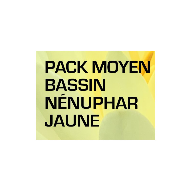 Pack Moyen Bassin - Nénuphar jaune