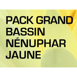 Pack Grand Bassin - Nénuphar jaune