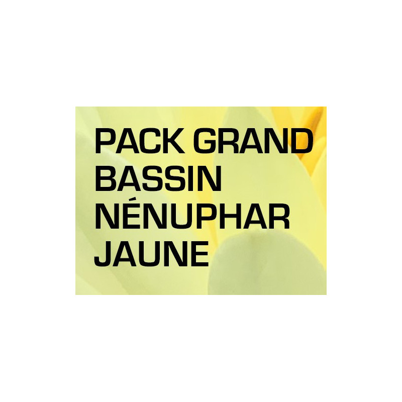 Pack Grand Bassin - Nénuphar jaune