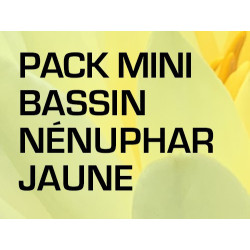 Pack Mini Bassin - Nénuphar jaune