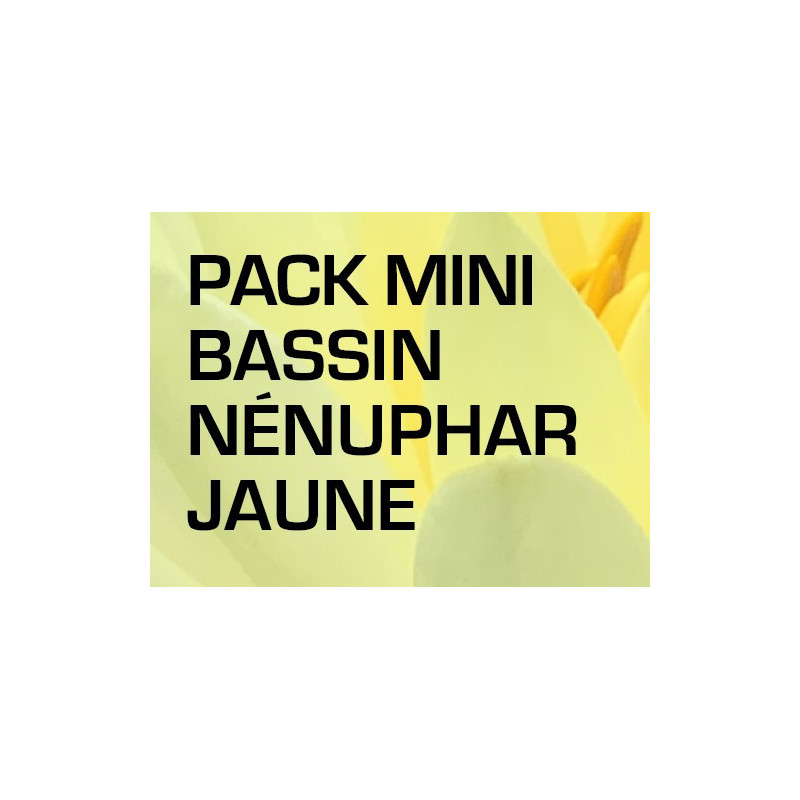 Pack Mini Bassin - Nénuphar jaune