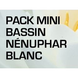 Pack Mini Bassin - Nénuphar blanc