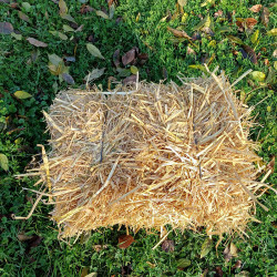 Mini-balle de paille d'orge